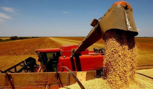 Safra de grãos 2021/2022 tem expectativa recorde, diz ministra 