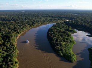 Fazendas ilegais de gado devastam áreas protegidas na Amazônia